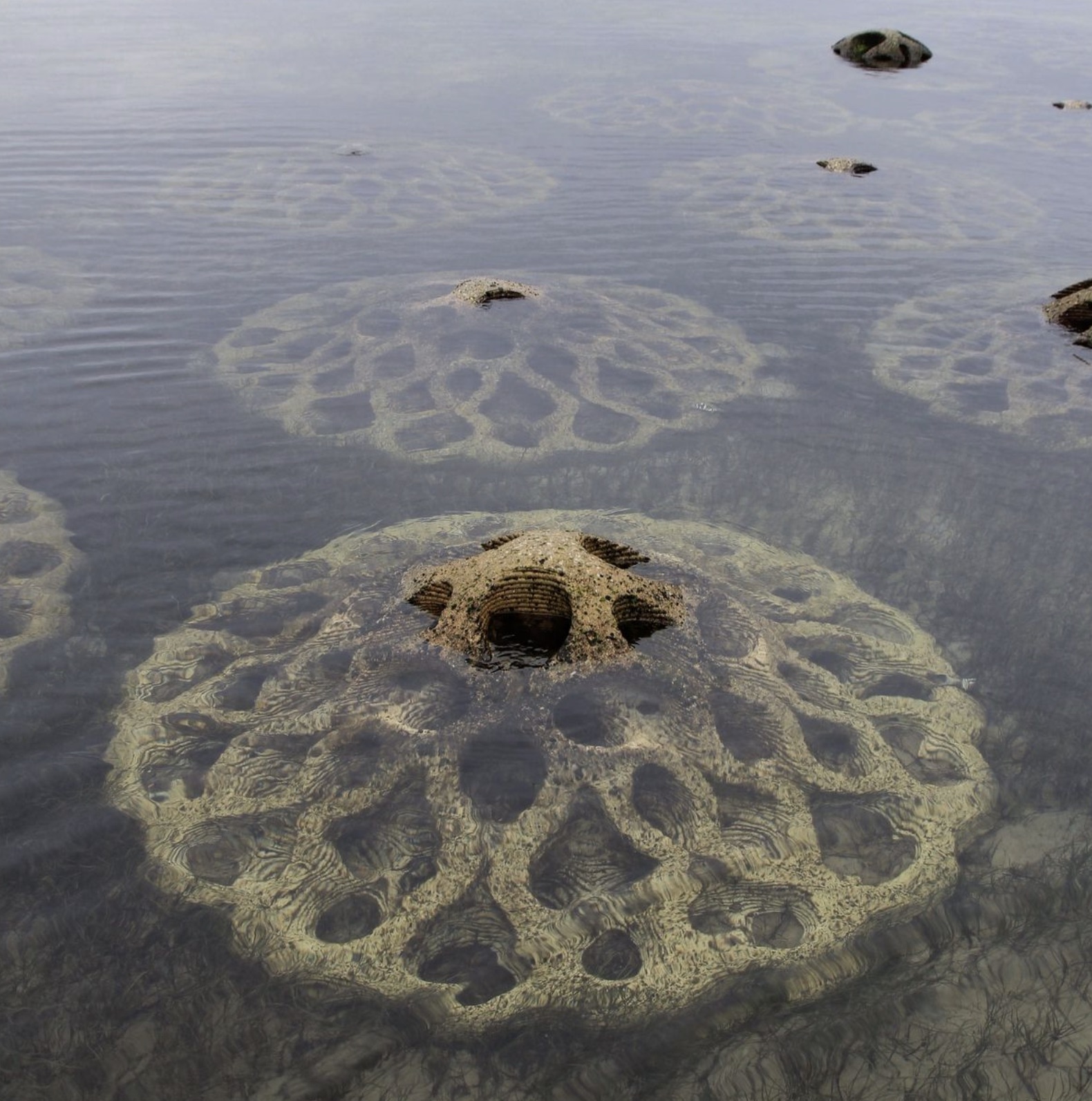 artificial reefs protect coastal erosion